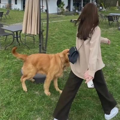 亲爱的白人